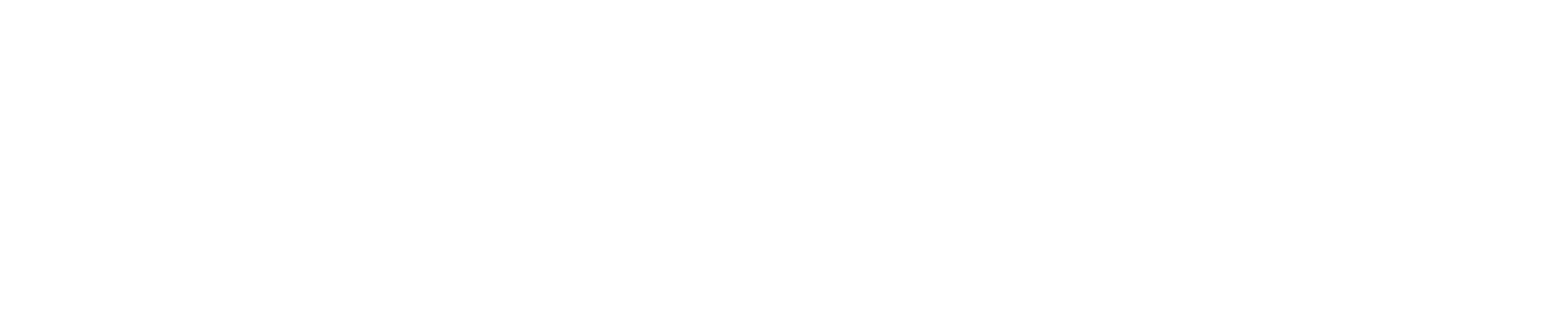 FGH Software